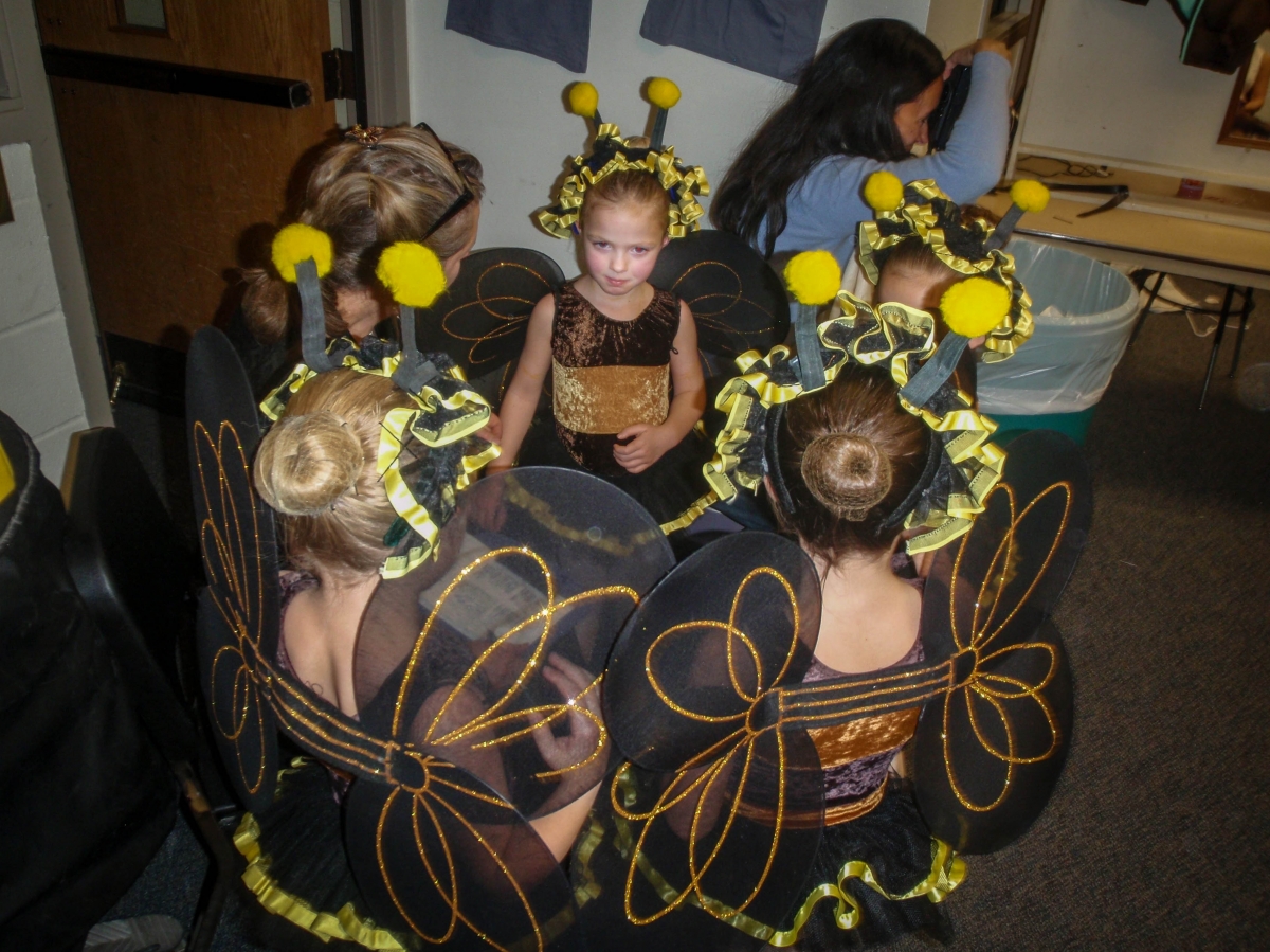 meeting the other bees 